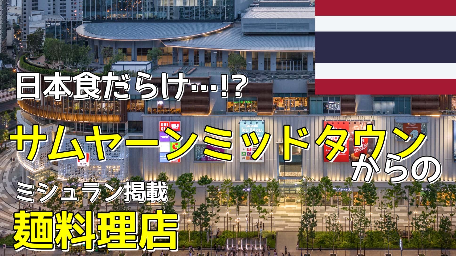 ミシュラン麺、地味なのに最強